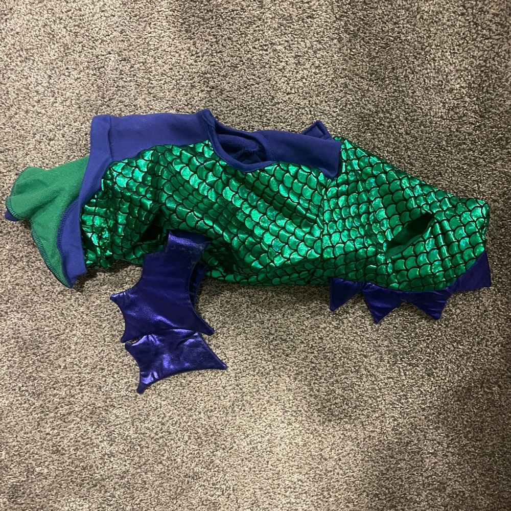 Green and Blue Dragon Costume for Your Fur Baby! - Picture 2 of 3